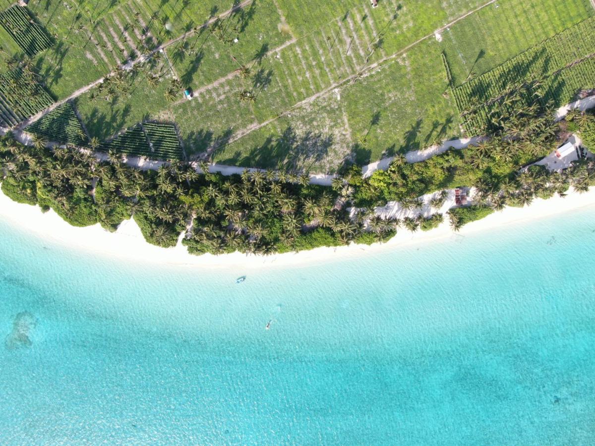 Thoddoo Island Life Hotel Luaran gambar