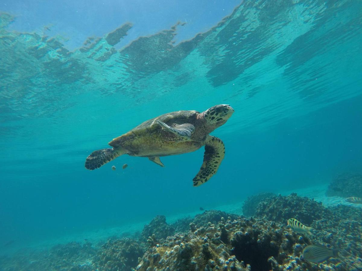 Thoddoo Island Life Hotel Luaran gambar
