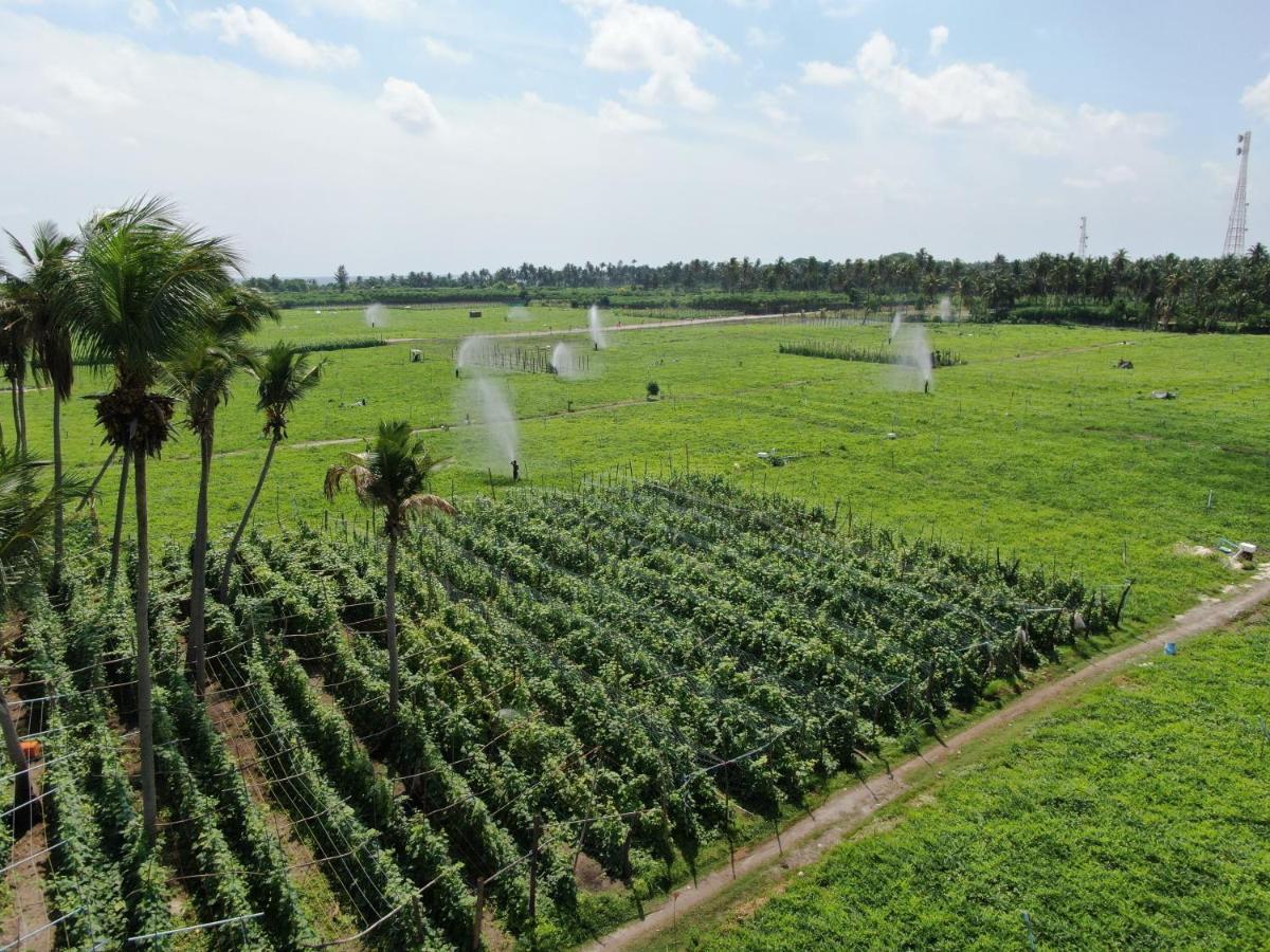Thoddoo Island Life Hotel Luaran gambar
